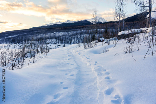 Snowy hill with footprint on trail in the forest at the morning