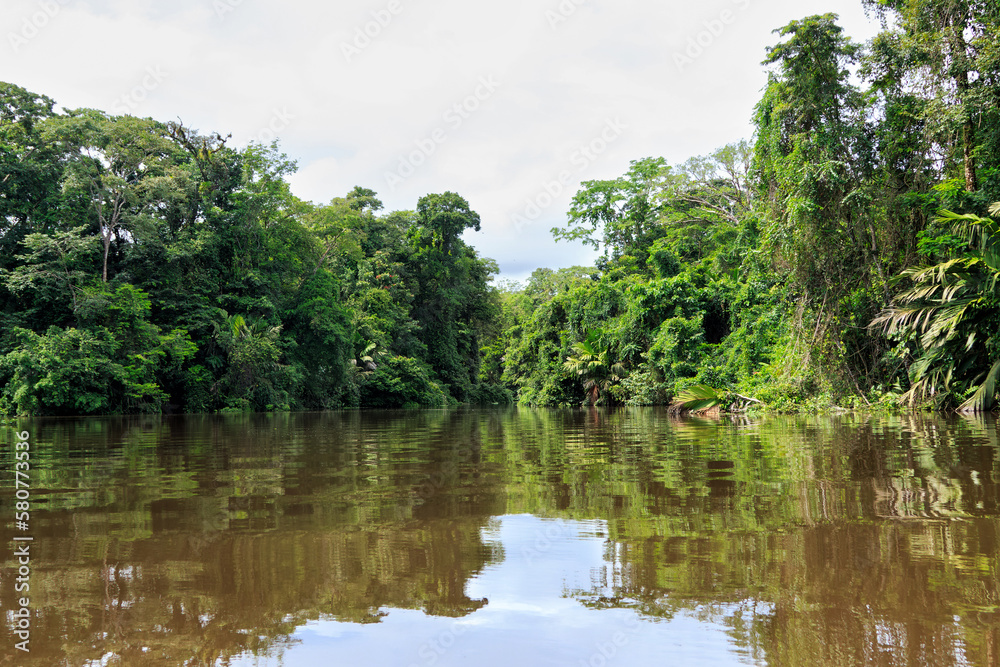 Beautiful lush green tropical forest jungle scenery seen from a boat in Tortuguero National Park in Costa Rica Beautiful lush green tropical forest jungle scenery seen from a boat in Tortuguero National Park in Costa Rica