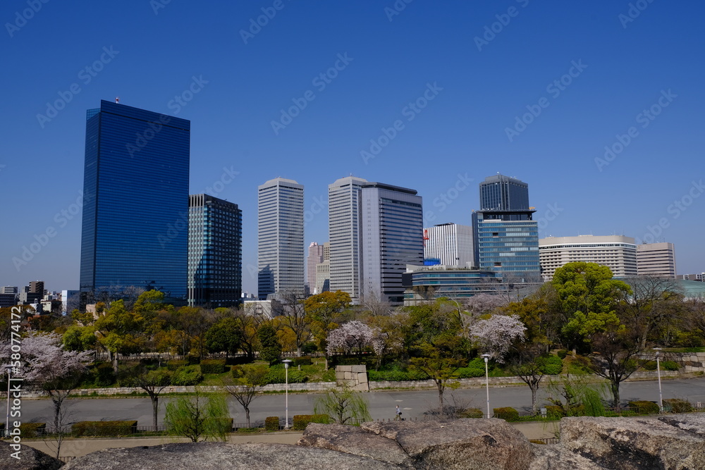 Obraz premium 日本、桜、大阪、大阪城、公園、天守閣、春の風景、日本の国花