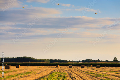 tramonto su campi di grano con mongolfiere