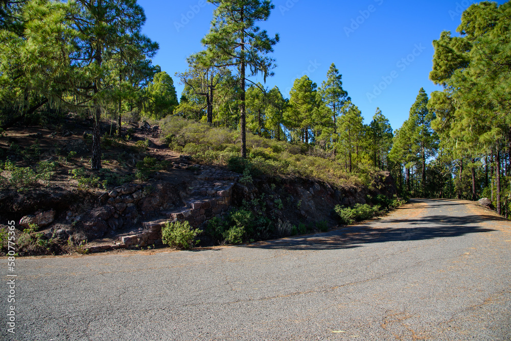 Fototapeta premium Tamadaba mountains, Gran Canaria, Spain