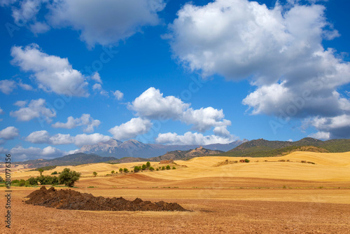 view of a crop field in Spain