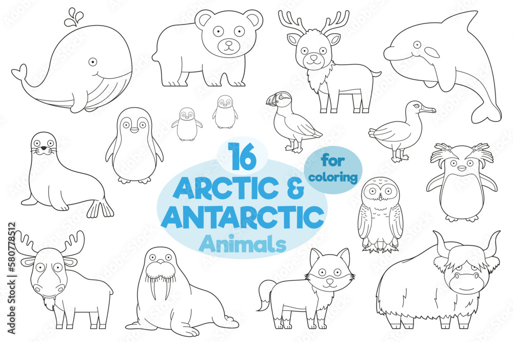 Set of 16 arctic and antarctic animals for coloring in cartoon style Vector Illustration