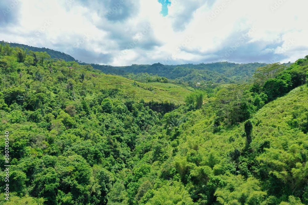 Fototapeta premium Panorama drone shot from above of a rainforest valley on Flores, in the distance a rice terrace, hills and a blue cloudy sky.