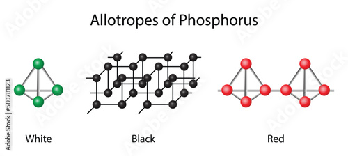 illustration of chemistry, Allotropes of phosphorus are different molecular forms of phosphorus, including white phosphorus, red phosphorus, black phosphorus and violet phosphorus