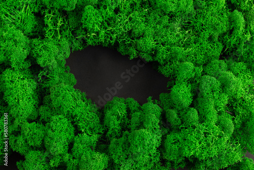 Fresh green moss background (ID: 580783361)