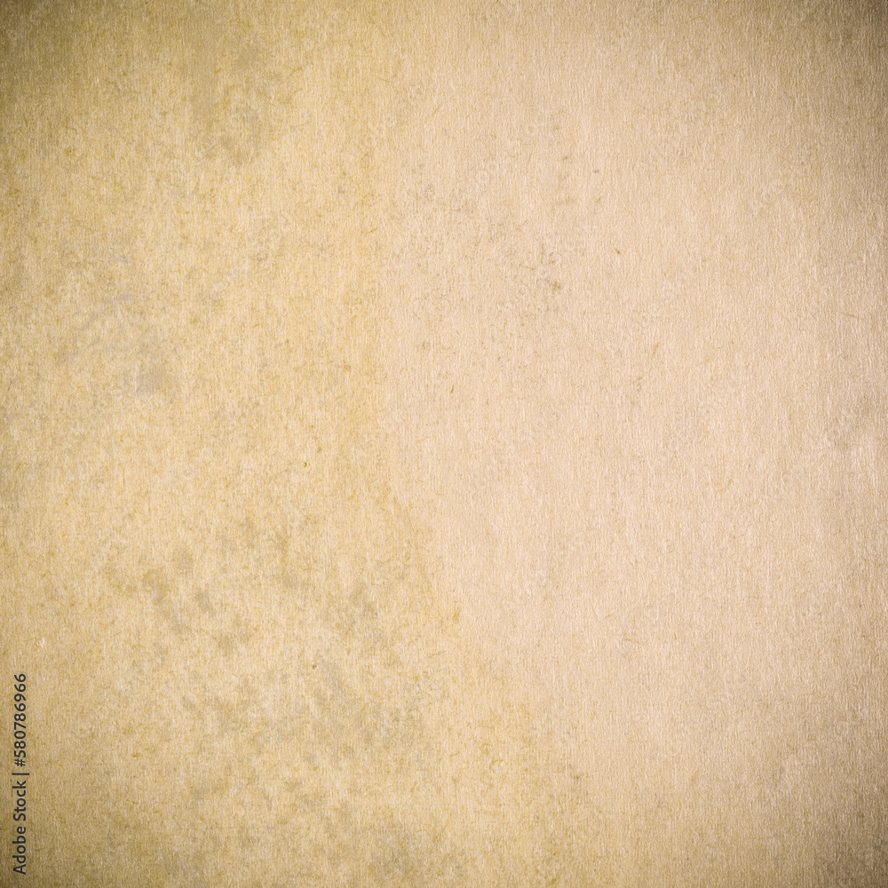 Obraz premium old paper texture