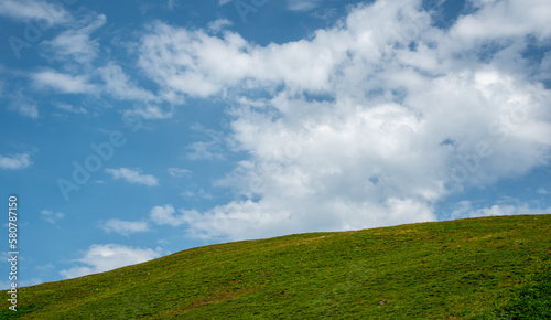 Meadow green  field and blue cloudy sky. Nature backgound with copy space