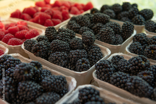 fresh wild berries raspberries and blackberries in cardboard trays close-up