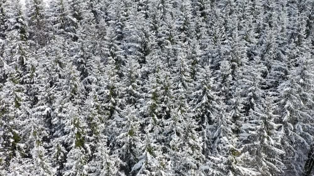 fantastic snowy winter landscape in the forest,drone photography, fantastic snowy winter landscape in the forest,drone photography,
