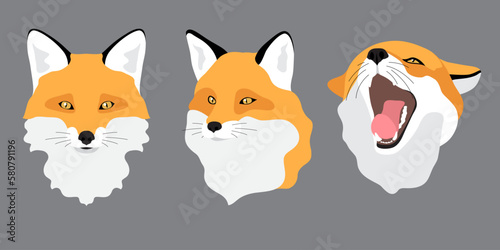 Wild animal red fox. Avatar, icon, head. Set of isolated vector illustrations