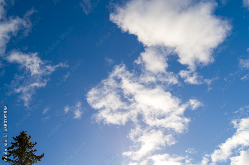 Bright blue sky background with floating cumulus clouds. Spruce on left corner.