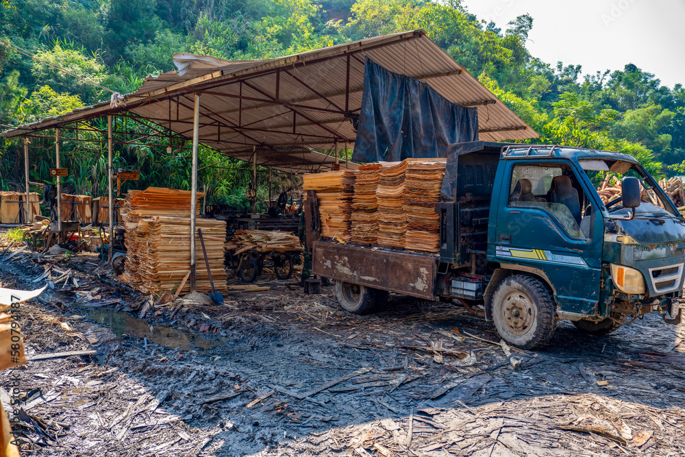 Vietnam, artisanal production process of plywood  near Ba Be in Norhtern Vietnam.