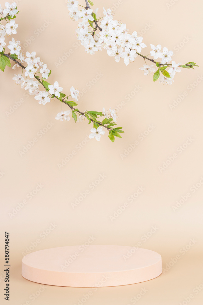 Geometric round podium platform stand for product presentation and spring blooming tree branch with white flowers on pastel pink background. Front view, copy space Geometric round podium platform stand for product presentation and spring blooming tree branch with white flowers on pastel pink background. Front view, copy space