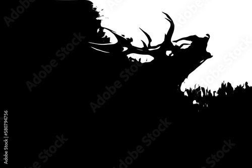 Black and white image of a deer. Red Deer (Cervus elaphus).