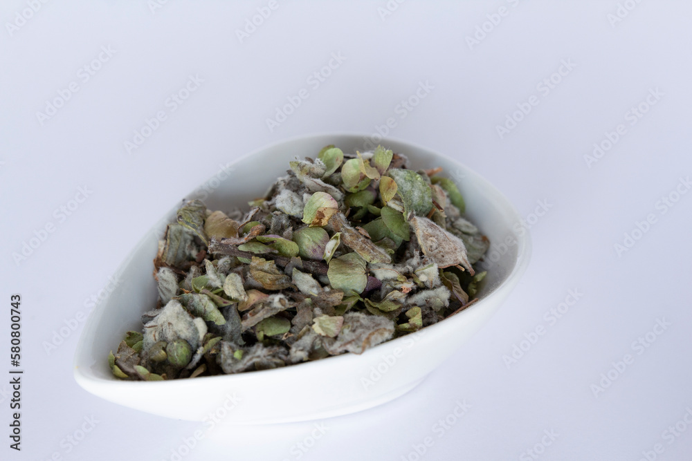 Origanum dictamnus, Dittany of Crete tea in a white bowl on a white background. Cretan dittany or hop marjoram is a medicinal tea growing wild only in Crete. It is a healing, therapeutic and aromatic
