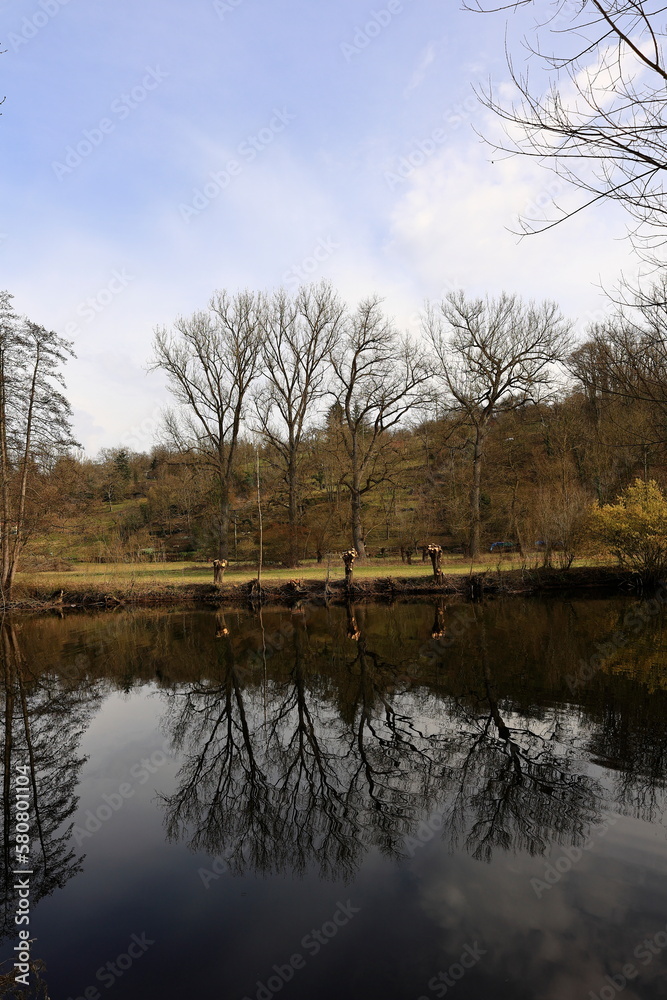 Bäume spiegeln sich im Fluss Enz bei Untermberg