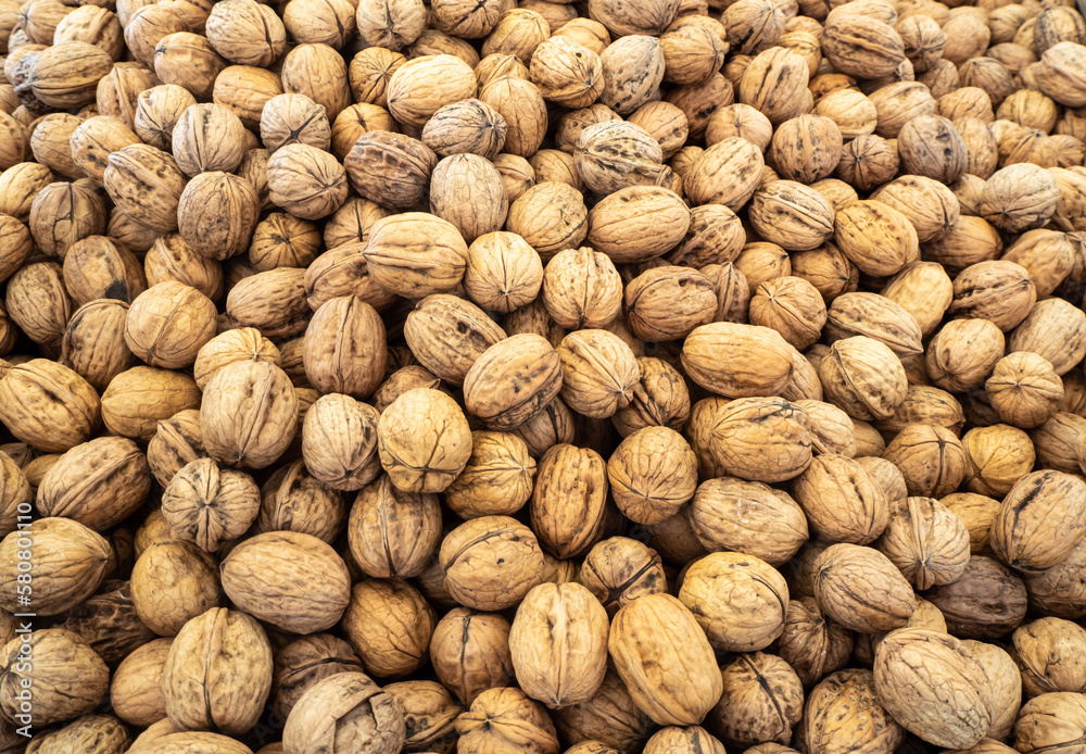 Bulk walnuts for sale in the market Bulk walnuts for sale in the market