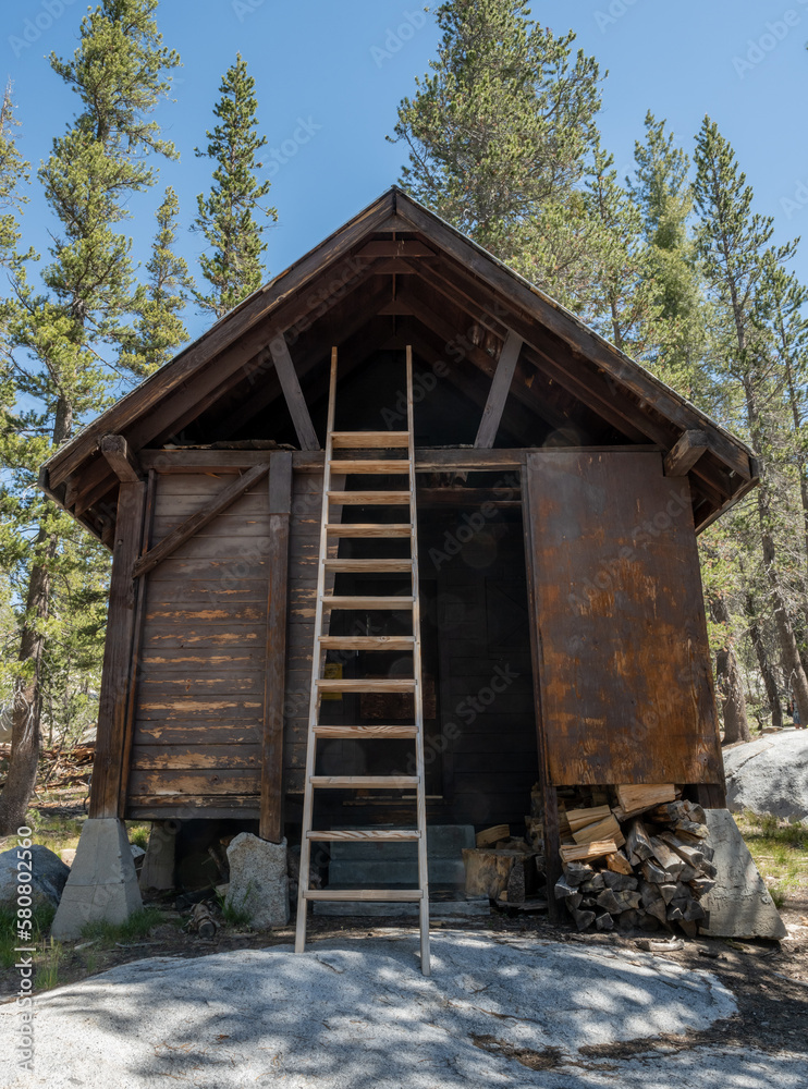 Φωτογραφία Tall Ladder Climbs To Roof Of Snow Patrol Cabin