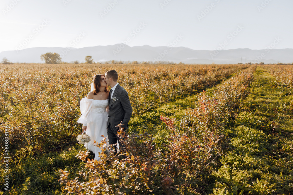 young wedding couple - freshly wed groom and bride posing outdoors on their wedding day. wide angle. on the background of mountains. a kiss while walking.