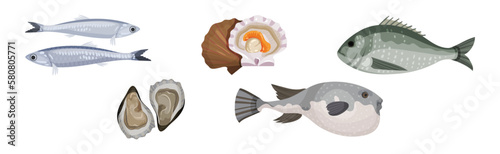 Seafood and Marine Delicacy with Anchovy, Oyster, Scallop and Fish Vector Set