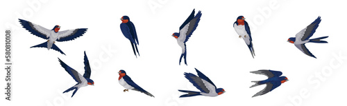 Swallow or Martin as Passerine Bird with Long Pointed Wings Vector Set