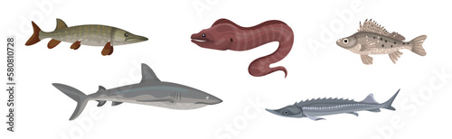 Fish from Deep Sea as Gill-bearing Aquatic Animals Vector Set