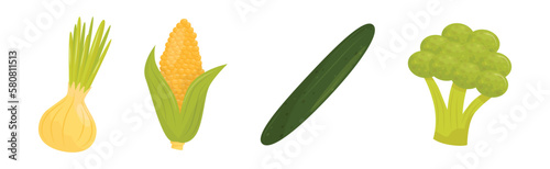 Raw Vegetables as Ripe Garden Crop Vector Set
