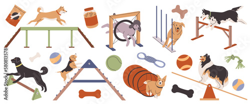 Dog agility. Pets train on their own, animal simulators, different breeds, outdoor sport activities, obstacle overcoming, playground for animals, tidy vector cartoon flat isolated set
