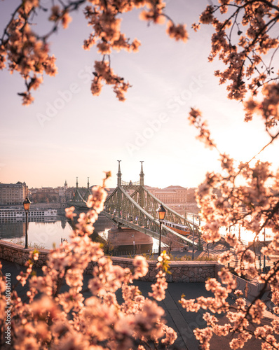 Beautiful Liberty Bridge wi...
