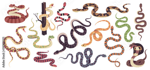 Reptiles snakes. Decorative tropical reptile collection  poisonous and not  different types scaly  crawling animals  cobra  python  ophiophagus and lampropeltis  tidy vector cartoon set