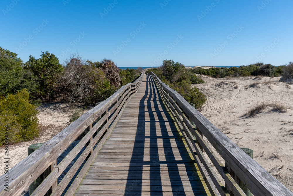 Boardwalk over dunes at Cumberland Island National Seashore. Cumberland Island, largest of Georgia's Golden Isles, is managed by National Park Service.