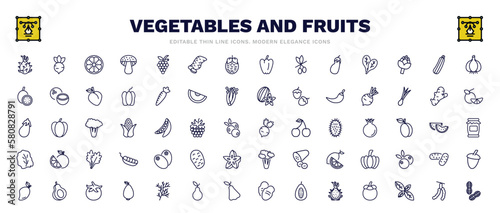 set of vegetables and fruits thin line icons. vegetables and fruits outline icons such as pitaya, orange, garlic, beetroot, radishes, breast milk fruit, avocado, tamarind, peanut vector.