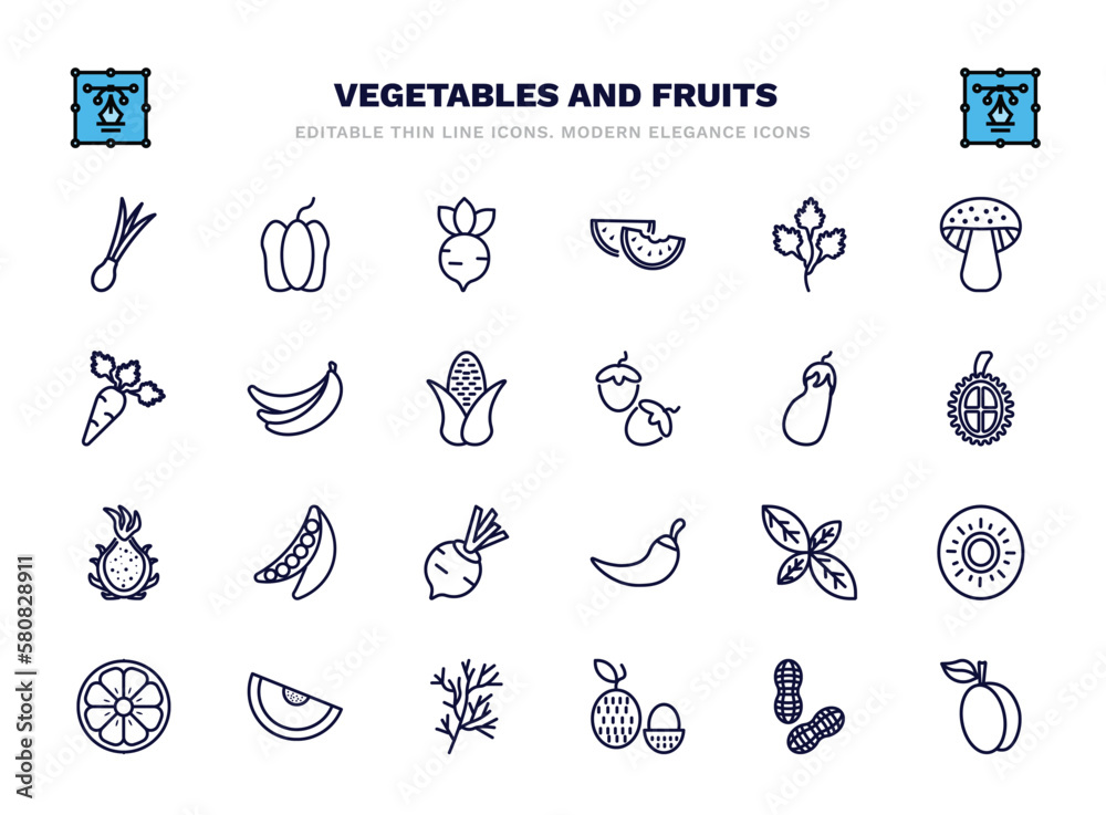 set of vegetables and fruits thin line icons. vegetables and fruits outline icons such as spring onion, radish, parsley, banana, eggplant, peas, basil, melon, lychee, apricot vector. set of vegetables and fruits thin line icons. vegetables and fruits outline icons such as spring onion, radish, parsley, banana, eggplant, peas, basil, melon, lychee, apricot vector.