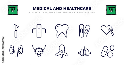 set of medical and healthcare thin line icons. medical and healthcare outline icons such as sticking plaster, molar tooth, bandage cross, medical heart scan, adrenal gland, adrenal gland, bladder,