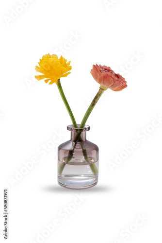 flowers in a vase with a shadow on a white isolated background © Juli Puli