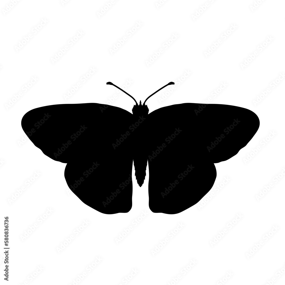 butterfly silhouette - vector illustration butterfly silhouette - vector illustration