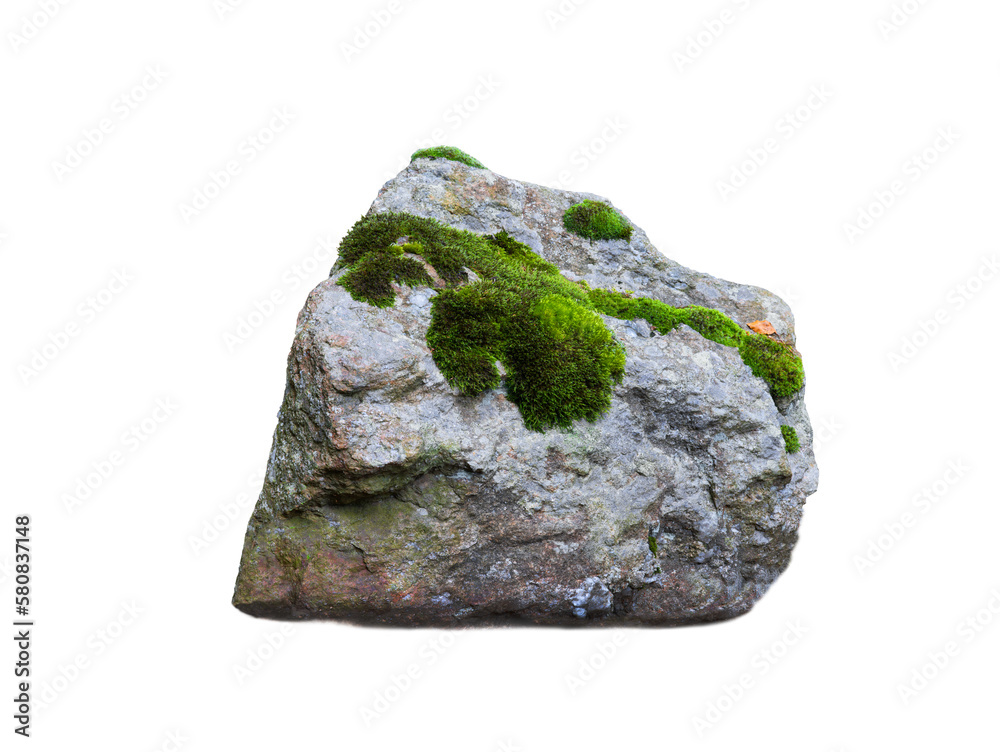 stone covered with moss isolated on white background stone covered with moss isolated on white background