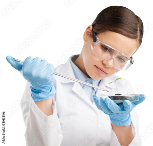 Fotografie Green plant with soil and hand of scientist holds a petri dish