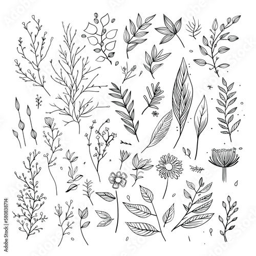 Vector set of handdrawn doodle frames and borders. Handdrawn elements, flowers, branches, swashes and flourishes.