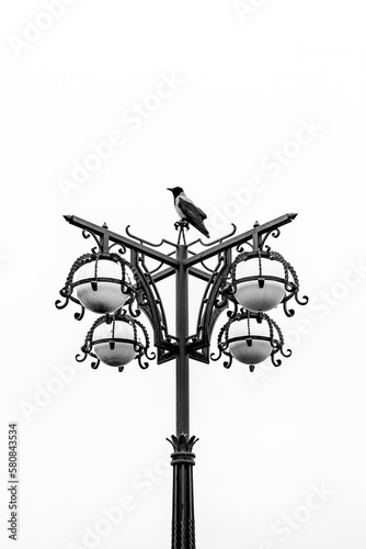 street lamp with bird post