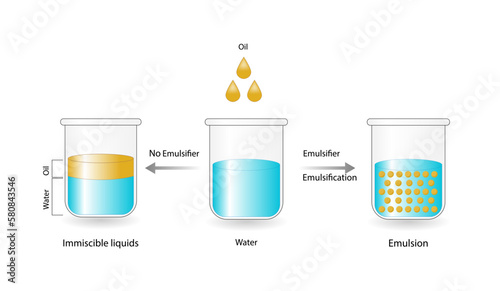 Emulsion, a mixture of two immiscible liquids (oil and water) in beakers, Emulsion oil in water, Immiscible liquids. Emulsification, emulsifier. isolated on white background. Vector illustration.