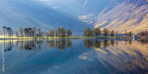 The Buttermere Pines on a beautiful still morning in the Lake District National Park in England.