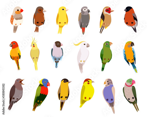 Perching Birds as Winged Feathered Creature with Bright Plumage Big Vector Set