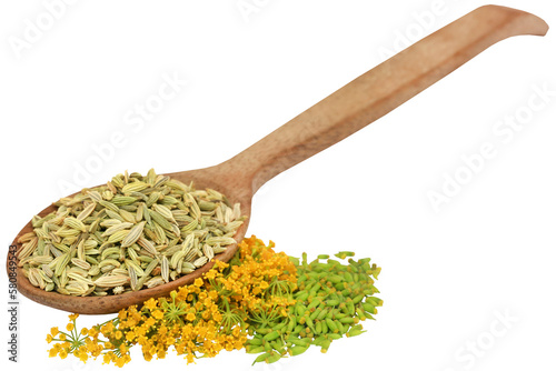 Green fennel seeds with flower