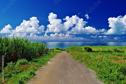 沖縄県小浜島 美しい海へと続く道