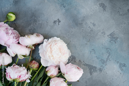 Fresh tender peonies flowers on dark gray desk, copy space photo