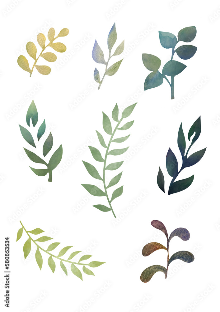 A set of green plants, leaves and flowers on a transparent background. Clipart Watercolor set for scrapbooking and stickers