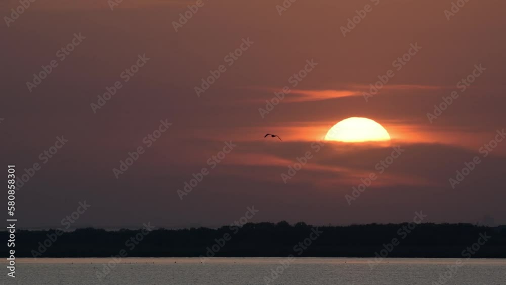 Beautiful sunset in the clouds. A flying bird on the background of the moon. Beautiful sunset in the clouds. A flying bird on the background of the moon.