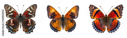 Butterfly collection transparent or white background 